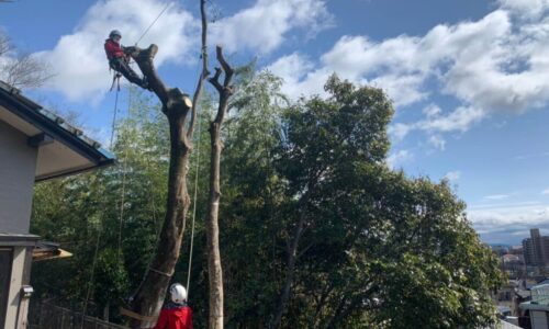 広瀬邸　北区打越町_210309_21